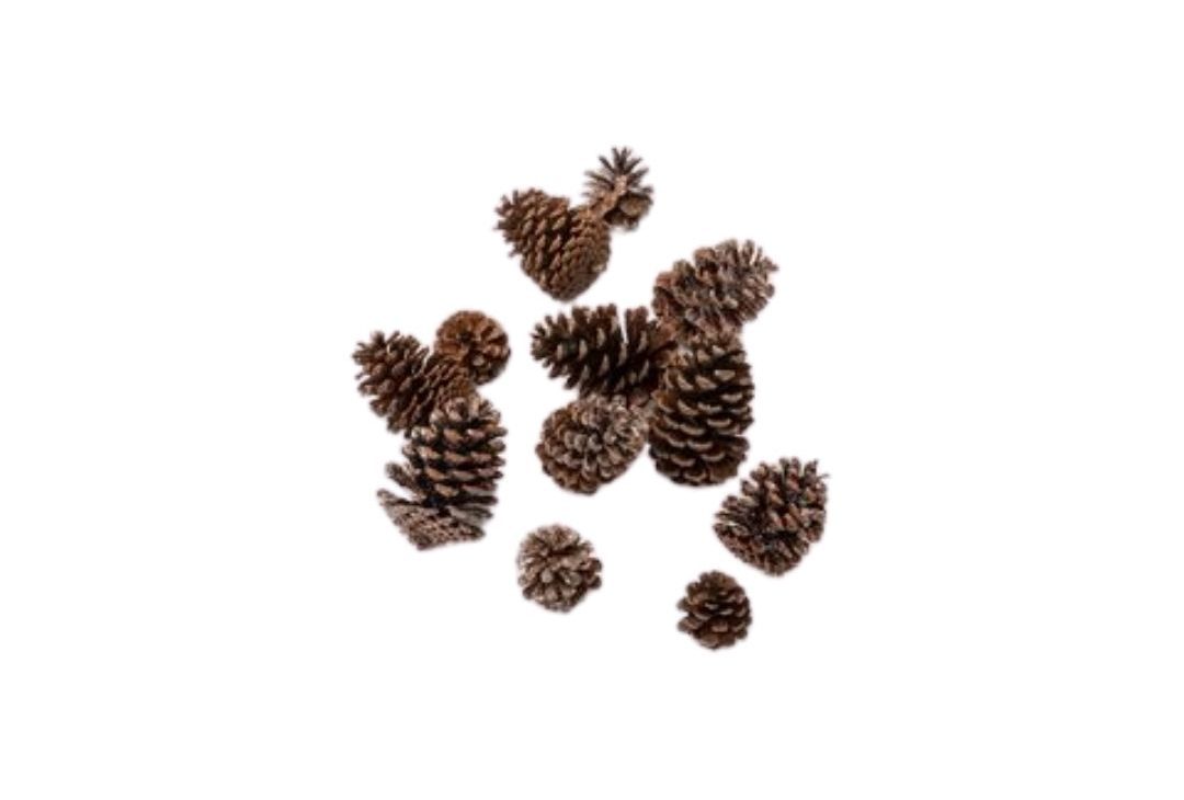 12ct Artificial Christmas Pinecones Decorative Figurine Glitter and Natural