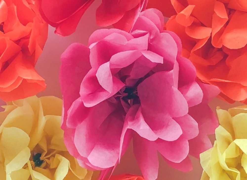 How to Make Paper Flowers with Tissue Paper