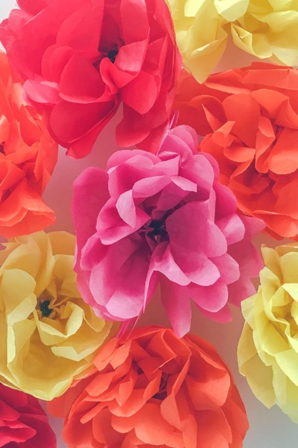 How to make tissue paper flowers. FIESTANOSIESTA.COM | Como hacer flores de papel.