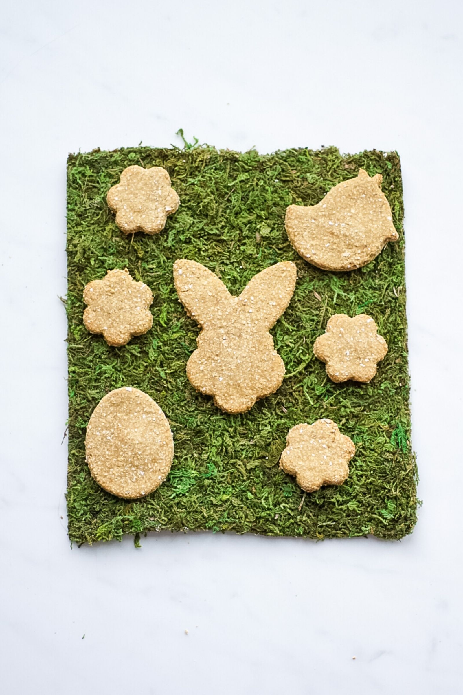 Homemade dog biscuits for dogs - only three ingredients