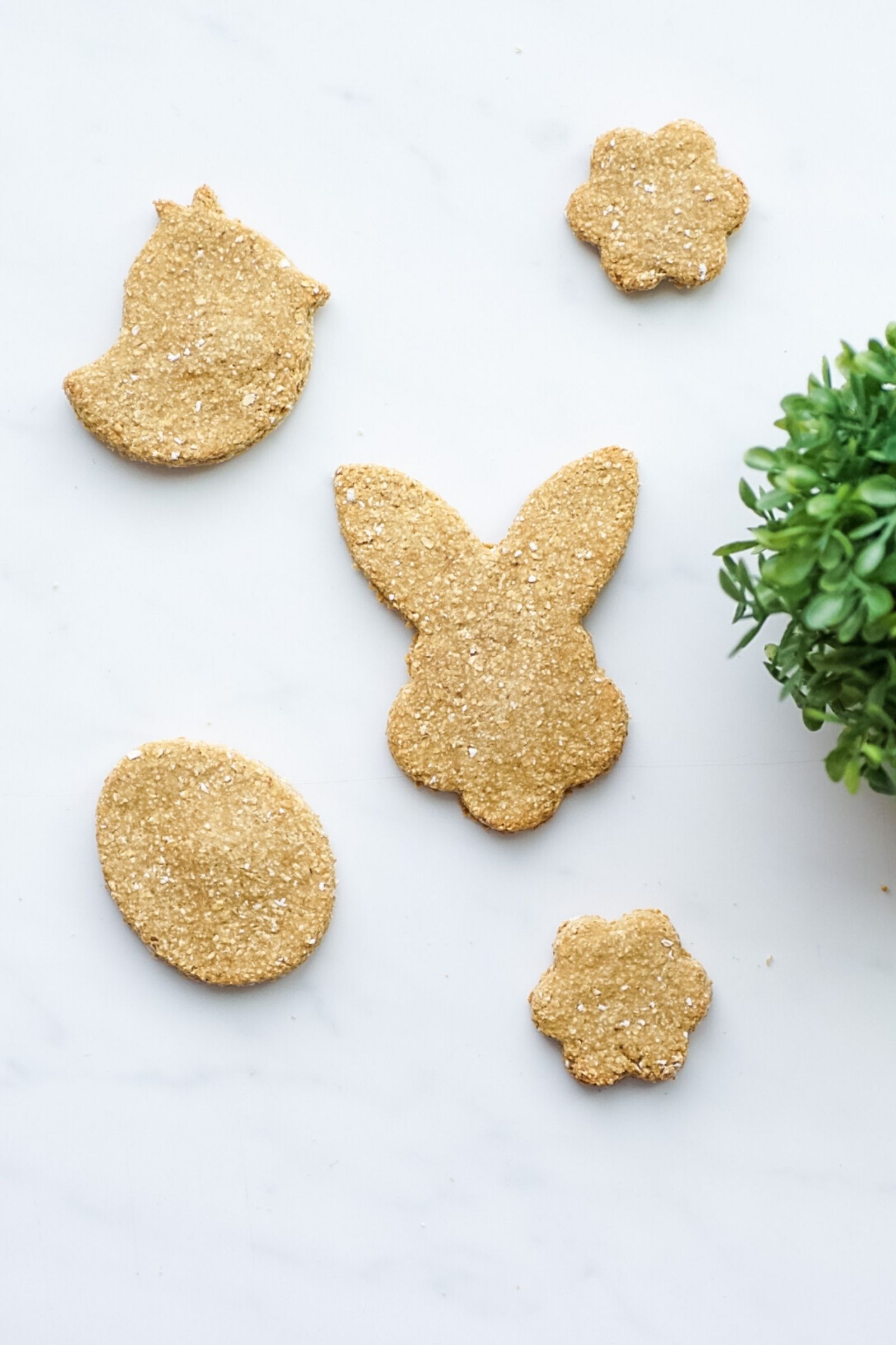 How to make homemade dog biscuits for Easter 